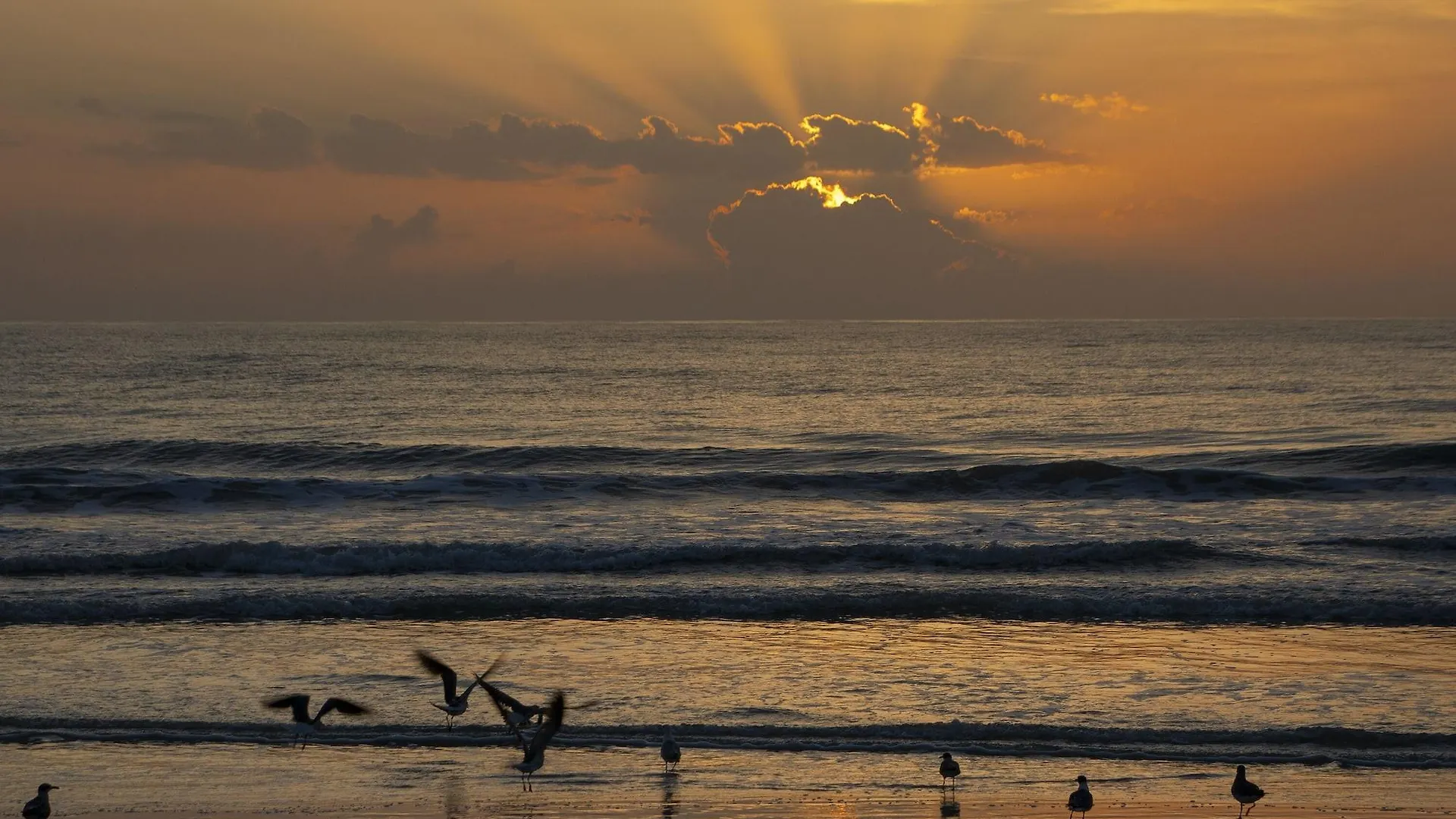 Hilton Daytona Beach Resort (Adults Only)